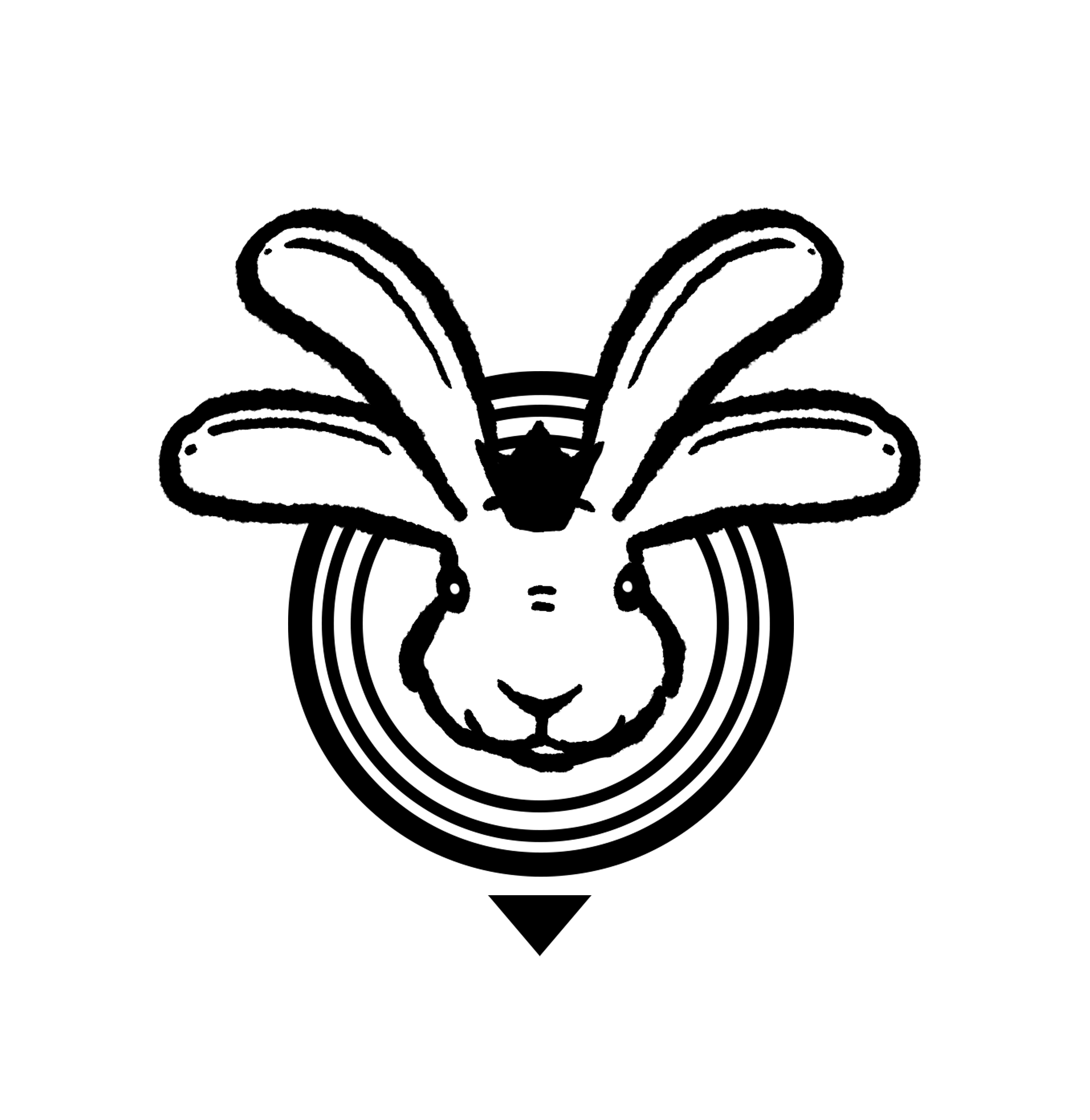 Alternate Icon
