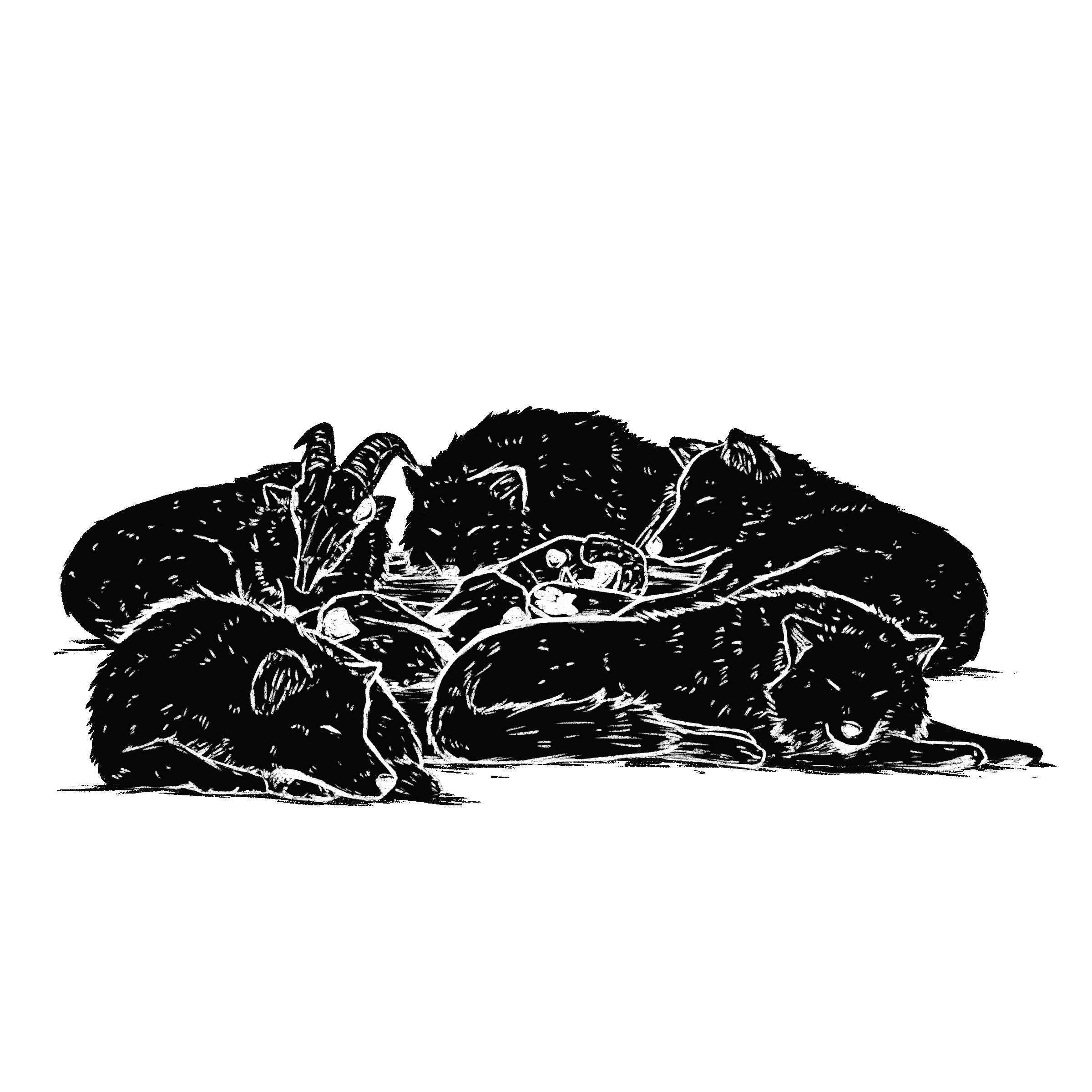 Wolves Sleeping Gif - Kokab ZD